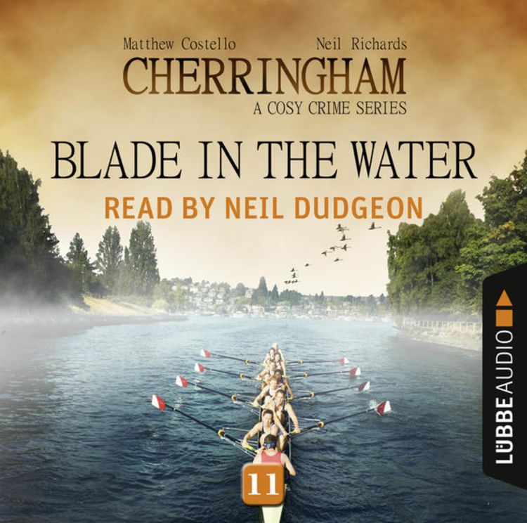 Bild vom Artikel Blade in the Water vom Autor Matthew Costello
