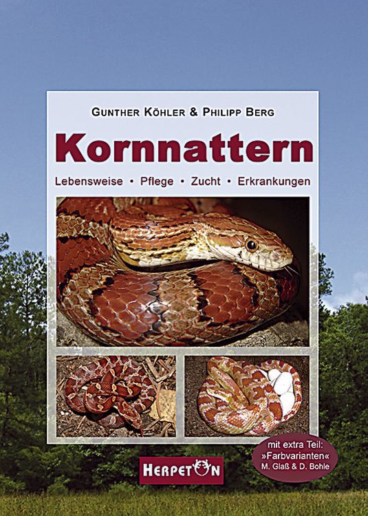 Produktbild: Kornnattern
