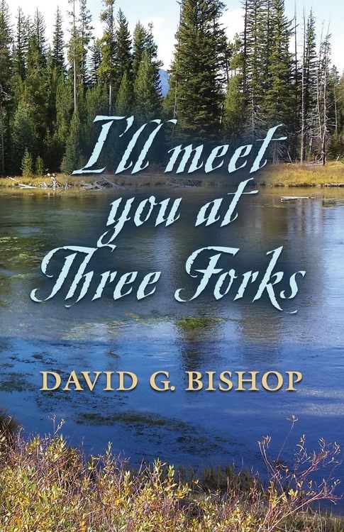 Produktbild: I'll Meet You At Three Forks