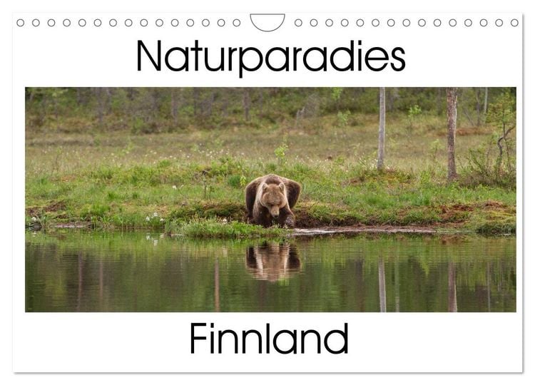 Produktbild: Naturparadies Finnland (Wandkalender 2026 DIN A4 quer), CALVENDO Monatskalender