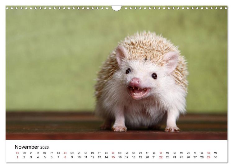 Produktbild: lach mit...just smile (Wandkalender 2026 DIN A3 quer), CALVENDO Monatskalender