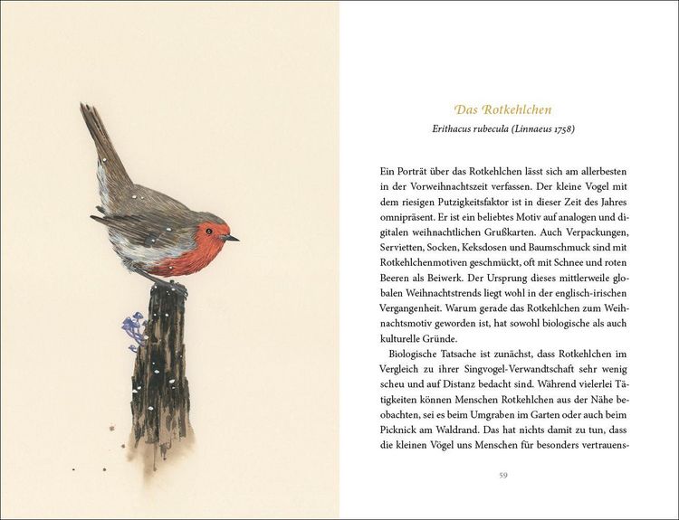 Produktbild: Vom Gl&uuml;ck des Vogelgesangs