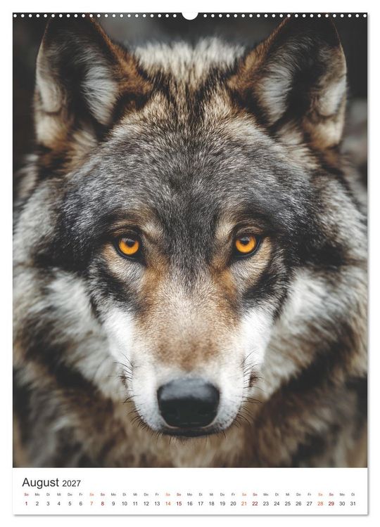 Produktbild: K&ouml;nige der Natur (hochwertiger Premium Wandkalender 2027 DIN A2 hoch), Kunstdruck in Hochglanz
