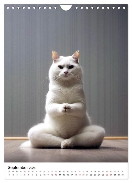 Produktbild: Miau Yoga (Wandkalender 2026 DIN A4 hoch), CALVENDO Monatskalender