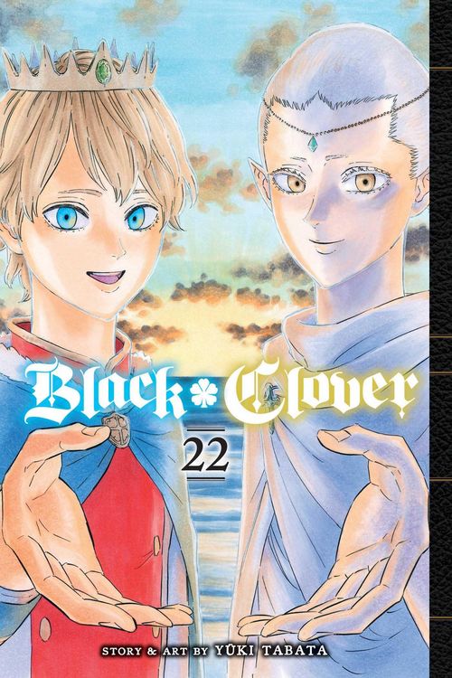 Produktbild: Black Clover, Vol. 22