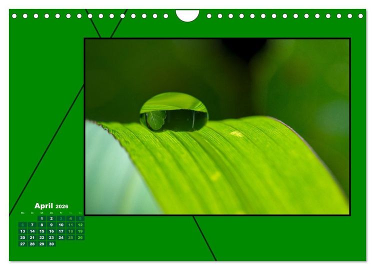 Produktbild: Heilende Farbe Gr&uuml;n (Wandkalender 2026 DIN A4 quer), CALVENDO Monatskalender