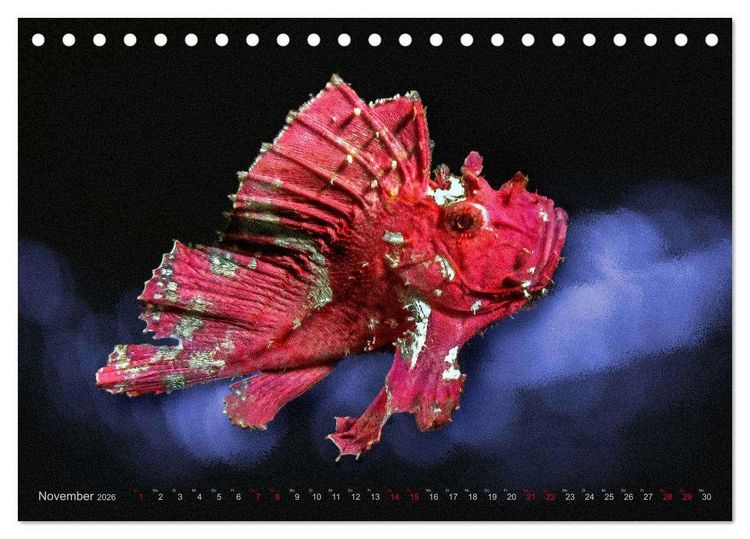 Produktbild: Artwork Unterwasser - Erlebnis Tauchen (Tischkalender 2026 DIN A5 quer), CALVENDO Monatskalender