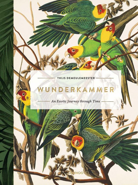 Produktbild: Wunderkammer