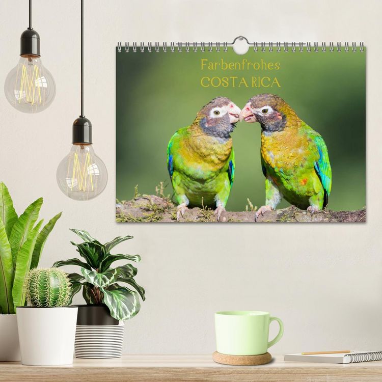 Produktbild: Farbenfrohes Costa Rica (Wandkalender 2026 DIN A4 quer), CALVENDO Monatskalender