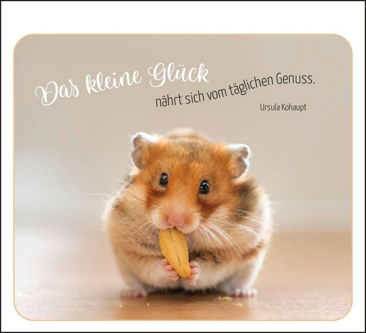 Produktbild: Ich denk ganz fest an dich