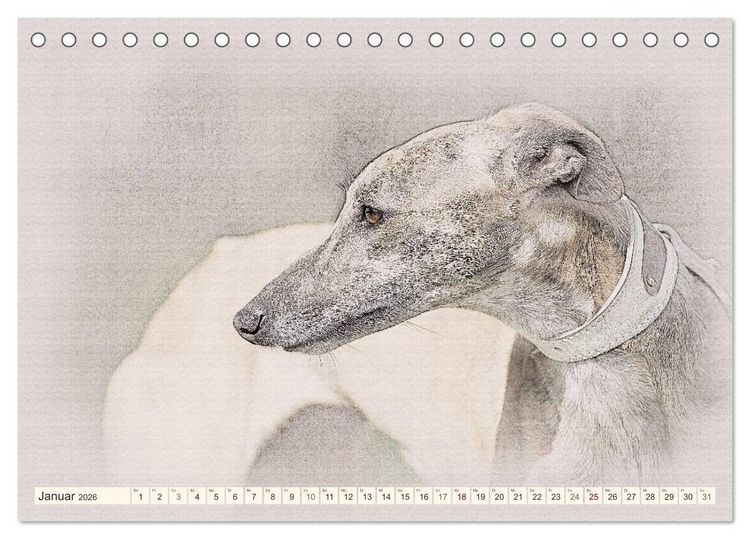 Produktbild: Whippet 2026 (Tischkalender 2026 DIN A5 quer), CALVENDO Monatskalender