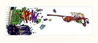 Produktbild: The Complete Calvin and Hobbes