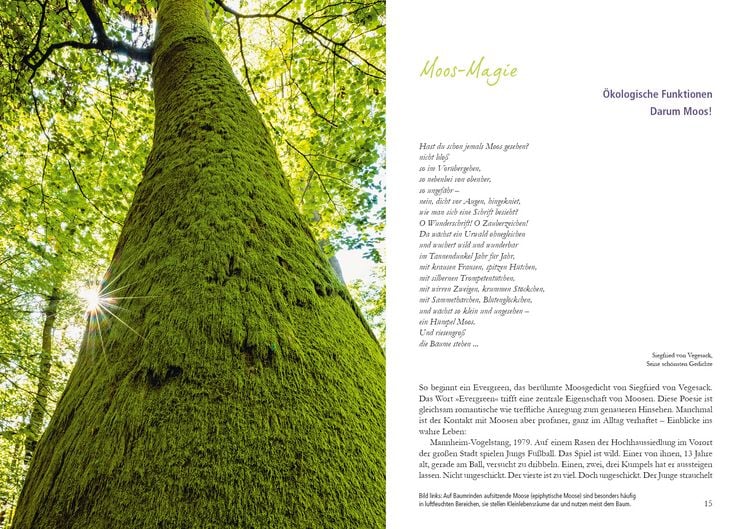Produktbild: Der Moosgarten