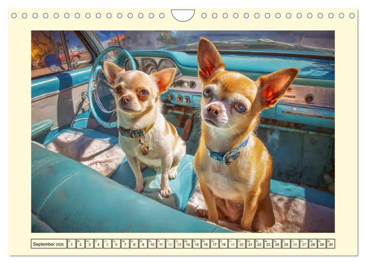 Produktbild: Reizende Chihuahuas. Winzige Hunde mit riesigem Ego und Grips (Wandkalender 2026 DIN A4 quer), CALVENDO Monatskalender