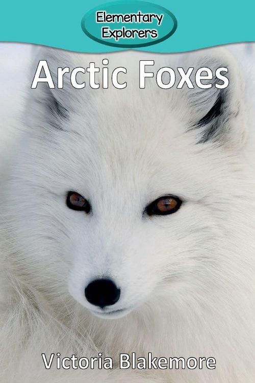 Produktbild: Arctic Foxes