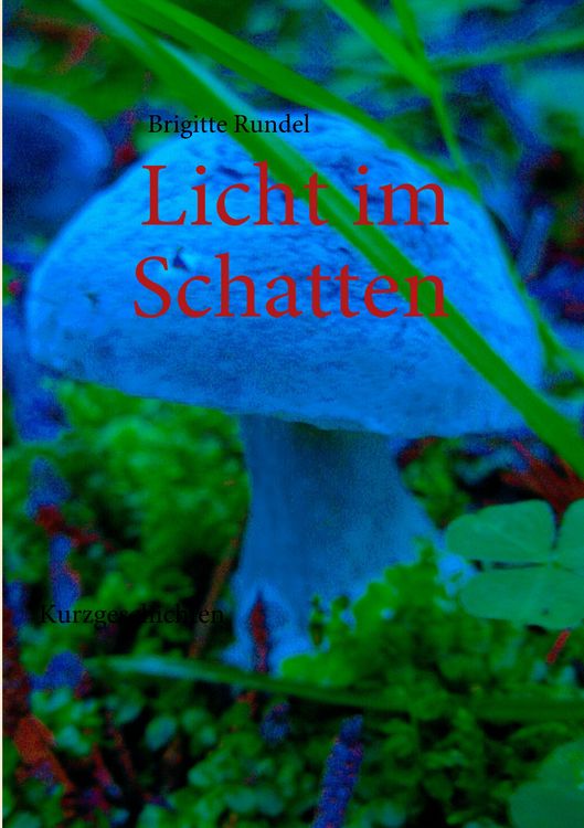 Produktbild: Licht im Schatten