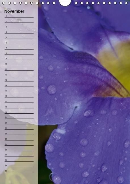 Produktbild: Immerw&auml;hrender Geburtstagskalender - Bl&uuml;tentr&auml;ume (Wandkalender immerw&auml;hrend DIN A4 hoch)