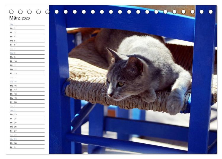 Produktbild: Katzensprung (Tischkalender 2026 DIN A5 quer), CALVENDO Monatskalender