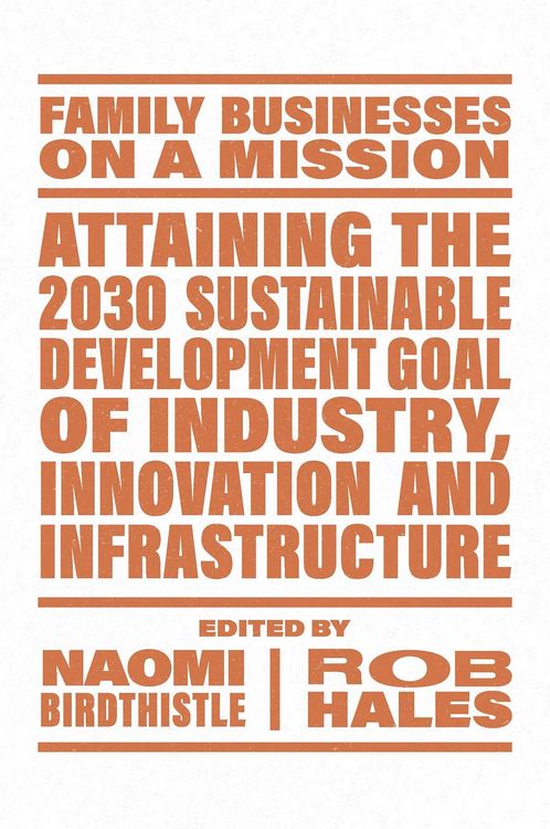 Produktbild: Attaining the 2030 Sustainable Development Goal of Industry, Innovation and Infrastructure