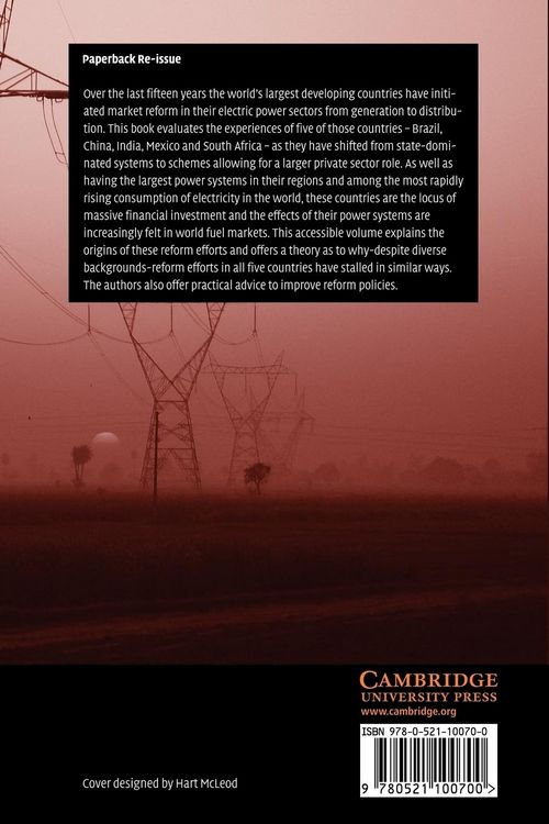 Produktbild: The Political Economy of Power Sector Reform