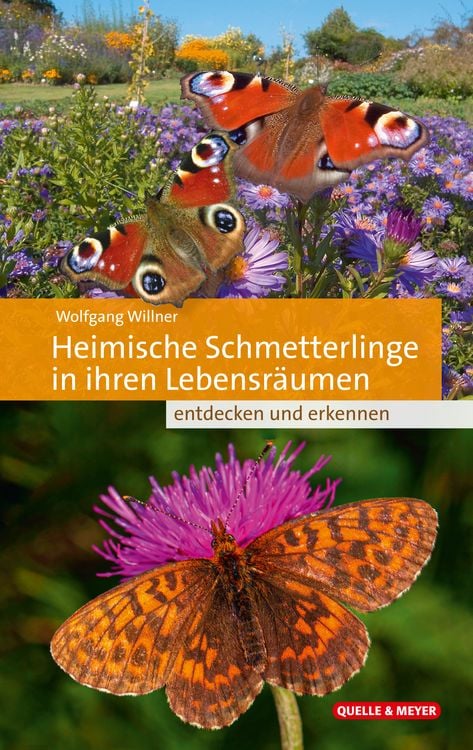 Produktbild: Heimische Schmetterlinge in ihren Lebensräumen