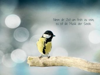 Produktbild: CALVENDO Puzzle Irischer Segenswunsch und Kohlmeisenbaby | 1000 Teile Lege-Gr&ouml;&szlig;e 64x48cm Foto-Puzzle f&uuml;r gl&uuml;ckliche Stunden