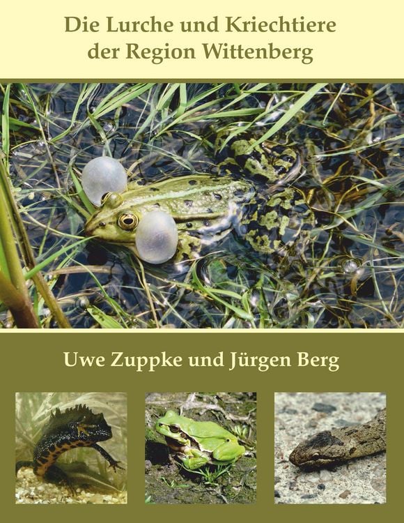 Produktbild: Die Lurche und Kriechtiere der Region Wittenberg