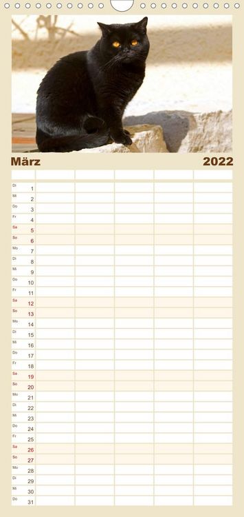 Produktbild: Familienplaner B&auml;rige Schmusetiger - Britisch Kurzhaar Katzen (Wandkalender 2022 , 21 cm x 45 cm, hoch)