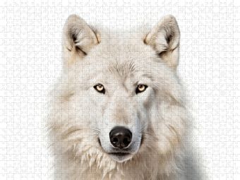 Produktbild: CALVENDO Puzzle Ein Motiv aus dem Kalender "Only white animals" | 1000 Teile Lege-Gr&ouml;&szlig;e 64x48cm Foto-Puzzle f&uuml;r gl&uuml;ckliche Stunden