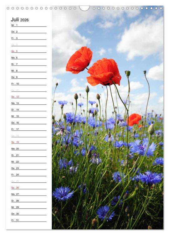 Produktbild: Land Brandenburg im Wechsel der Jahreszeiten (Wandkalender 2026 DIN A3 hoch), CALVENDO Monatskalender