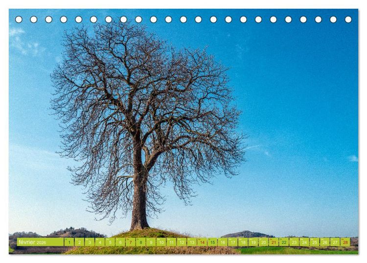 Produktbild: Solitude verdoyante (Calendrier de bureau 2026 DIN A5 vertical), CALVENDO calendrier mensuel