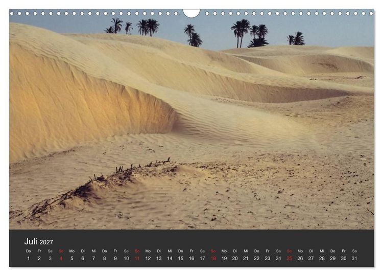 Produktbild: W&uuml;sten, wilde Sch&ouml;nheiten (Wandkalender 2027 DIN A3 quer), CALVENDO Monatskalender