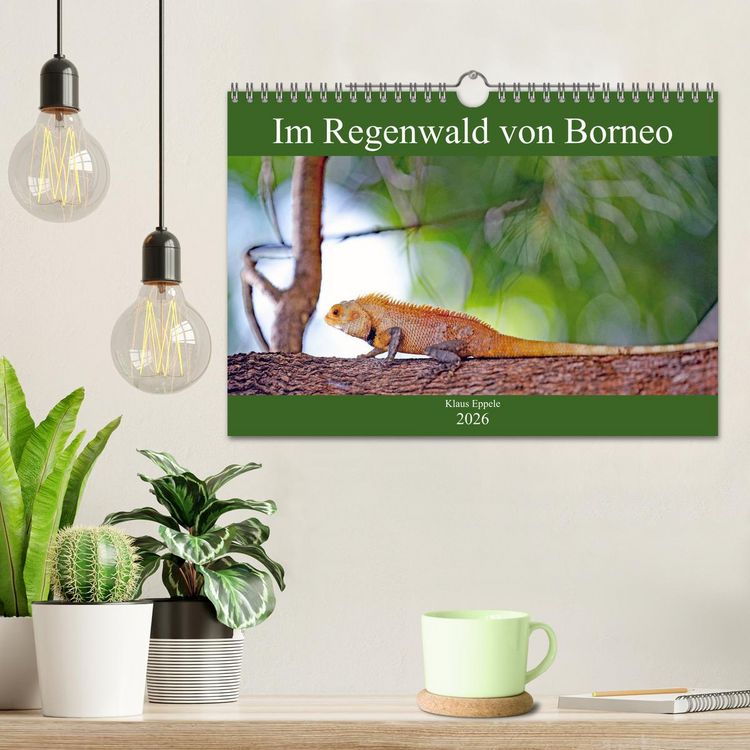Produktbild: Im Regenwald von Borneo (Wandkalender 2026 DIN A4 quer), CALVENDO Monatskalender