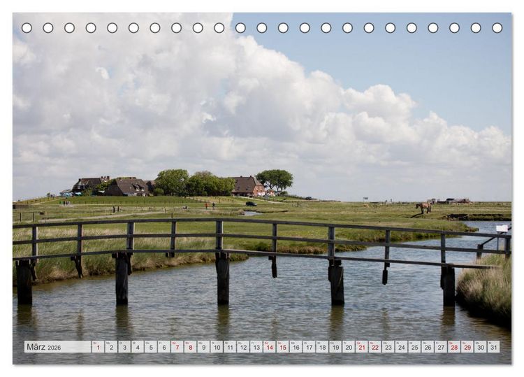 Produktbild: Wundersch&ouml;ne Hallig Hooge (Tischkalender 2026 DIN A5 quer), CALVENDO Monatskalender