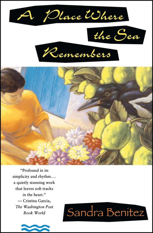 Produktbild: Place Where the Sea Remembers