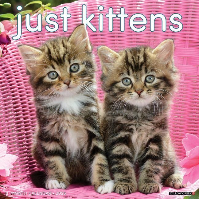 Produktbild: Kittens 2026 12 X 12 Wall Calendar