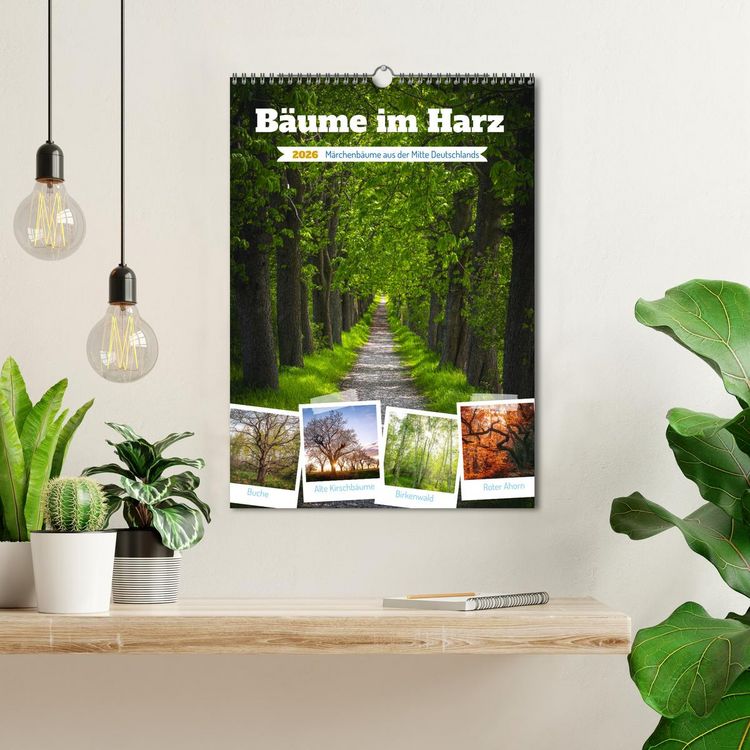 Produktbild: B&auml;ume im Harz (Wandkalender 2026 DIN A3 hoch), CALVENDO Monatskalender