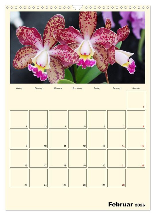 Produktbild: Orchideentr&auml;ume (Wandkalender 2026 DIN A3 hoch), CALVENDO Monatskalender