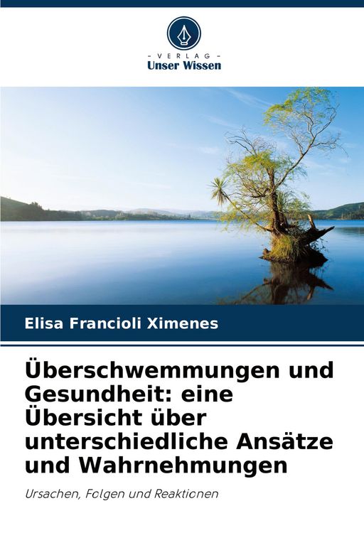 Produktbild: &Uuml;berschwemmungen und Gesundheit: eine &Uuml;bersicht &uuml;ber unterschiedliche Ans&auml;tze und Wahrnehmungen
