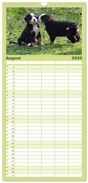 Produktbild: Familienplaner 2026 - Rasselbande mit 40 Pfoten mit 5 Spalten (Wandkalender, 21 x 45 cm) CALVENDO