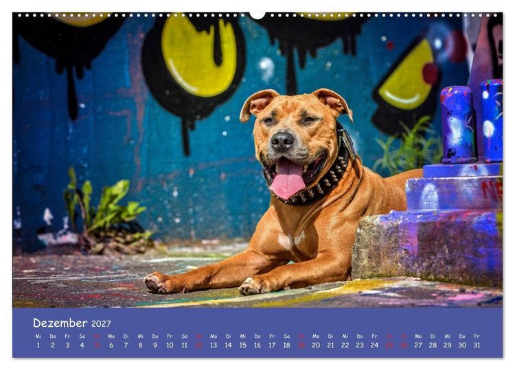 Produktbild: Hunde und Graffiti (Wandkalender 2027 DIN A2 quer), CALVENDO Monatskalender