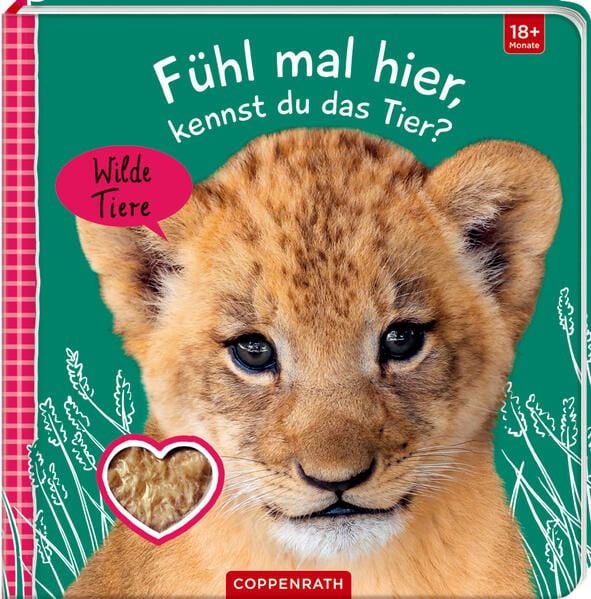 Produktbild: Fühl mal hier, kennst du das Tier? Wilde Tiere