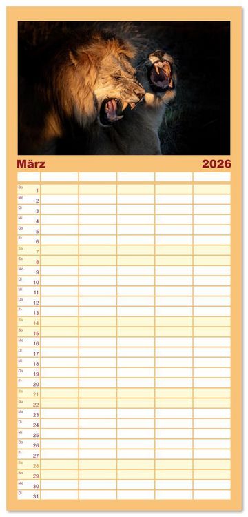 Produktbild: Familienplaner 2026 - Action in der Savanne mit 5 Spalten (Wandkalender, 21 x 45 cm) CALVENDO