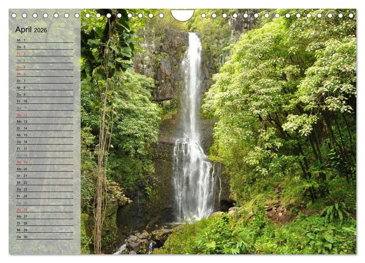 Produktbild: Land of Aloha - Hawaii Monatsplaner (Wandkalender 2026 DIN A4 quer), CALVENDO Monatskalender