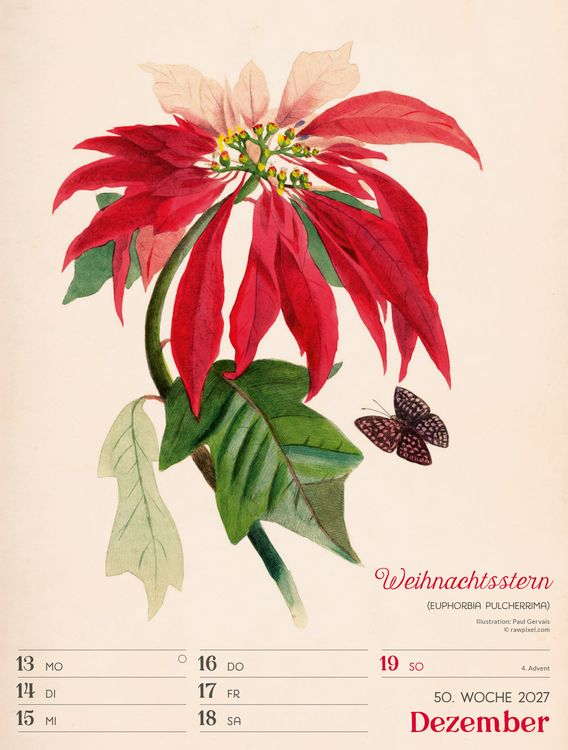 Produktbild: Ars Floralis Wochenplaner Kalender 2027