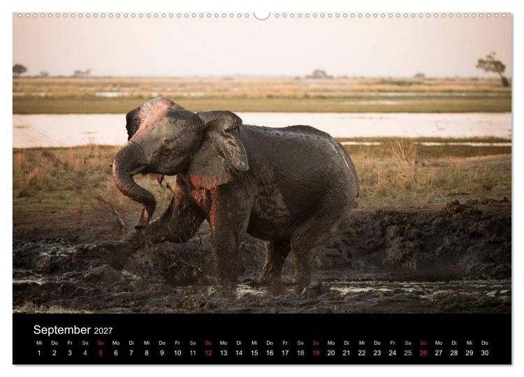 Produktbild: Elefanten - Die sanften Riesen Afrikas (Wandkalender 2027 DIN A2 quer), CALVENDO Monatskalender