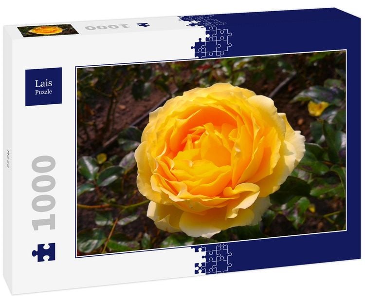 Produktbild: Lais Puzzle Rose 1000 Teile