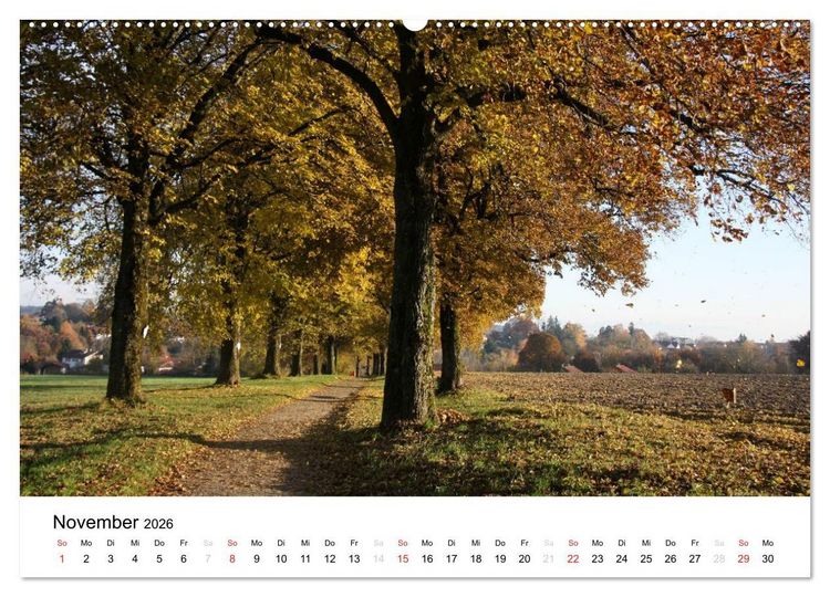 Produktbild: Der Ebersberger Forst und seine Umgebung (hochwertiger Premium Wandkalender 2026 DIN A2 quer), Kunstdruck in Hochglanz
