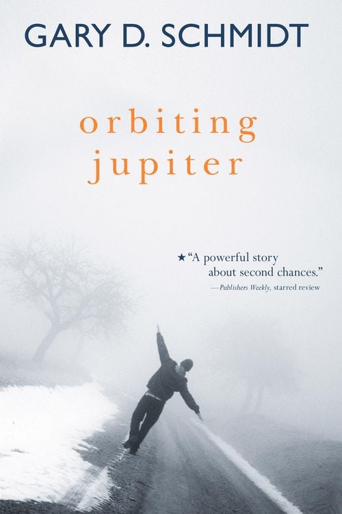 Produktbild: Orbiting Jupiter
