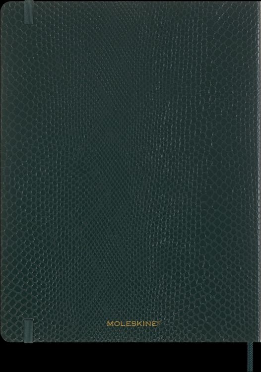 Produktbild: Moleskine Vegea Boa Notizbuch, XL, liniert, weicher Einband, gr&uuml;n, in Box